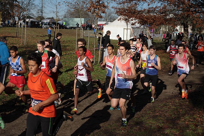 Diapositive suivante